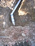 IMG_7170.JPG