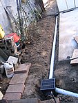IMG_7172.JPG