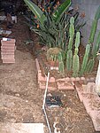 IMG_7314.JPG