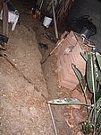 IMG_7315.JPG
