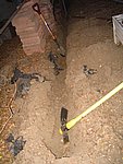 IMG_7317.JPG