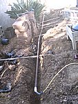 IMG_7324.JPG