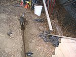 IMG_7327.JPG