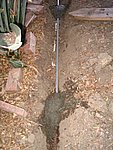IMG_7328.JPG