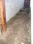 IMG_7331.JPG