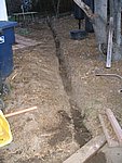 IMG_7332.JPG