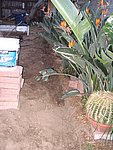 IMG_7333.JPG