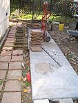 IMG_7558.JPG