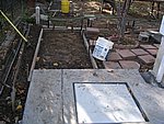 IMG_7559.JPG