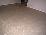 IMG_7673.JPG