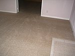 IMG_7676.JPG