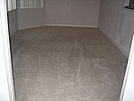 IMG_7713.JPG