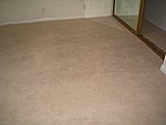IMG_7718.JPG