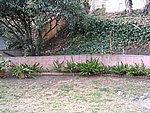 IMG_7775.JPG