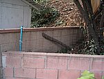 IMG_7777.JPG