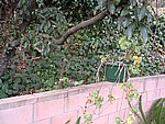 IMG_7778.JPG