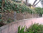 IMG_7779.JPG
