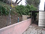 IMG_7780.JPG