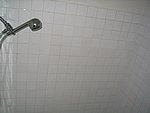 IMG_7810.JPG