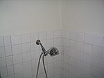 IMG_7811.JPG