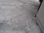 IMG_7848.JPG