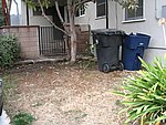 IMG_7862.JPG