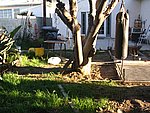 IMG_8423.JPG
