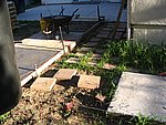 IMG_8424.JPG
