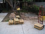 IMG_8530.JPG