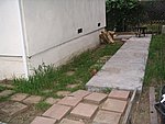 IMG_8537.JPG