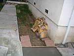 IMG_8539.JPG