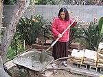 IMG_8552.JPG