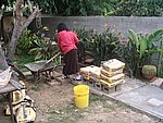 IMG_8553.JPG