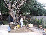 IMG_8554.JPG
