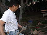 IMG_8556.JPG