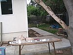 IMG_8557.JPG