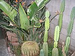 IMG_8561.JPG