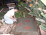 IMG_8562.JPG