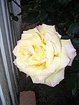 IMG_8564.JPG