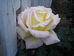 IMG_8565.JPG