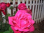 IMG_8573.JPG