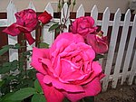 IMG_8574.JPG