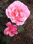 IMG_8578.JPG