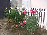 IMG_8589.JPG