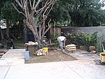 IMG_8590.JPG