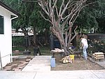 IMG_8591.JPG