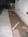 IMG_8595.JPG