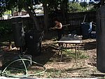 IMG_8598.JPG