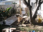IMG_8602.JPG