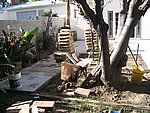 IMG_8603.JPG